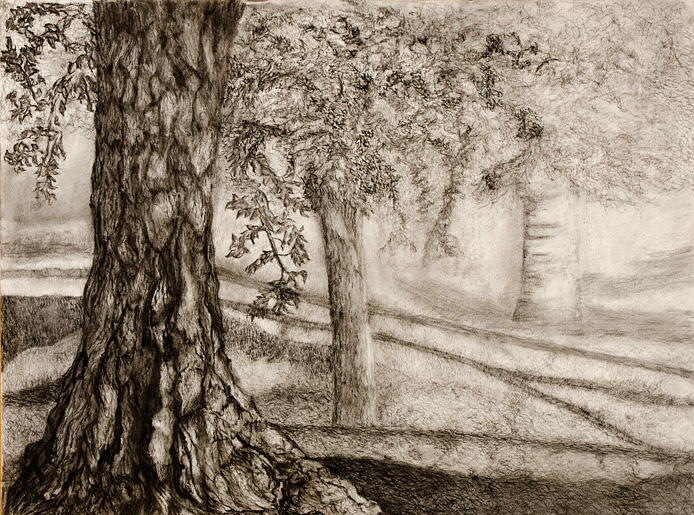 Trees, by Cindy Nemeth